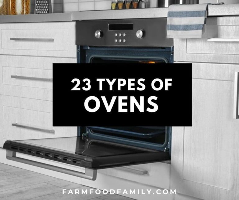 23 Different Types Of Ovens and Brands (Buying Guide)