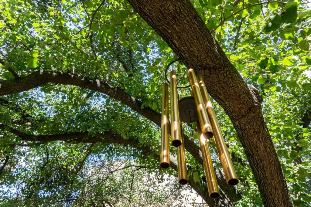 wind chimes hanging from the tree