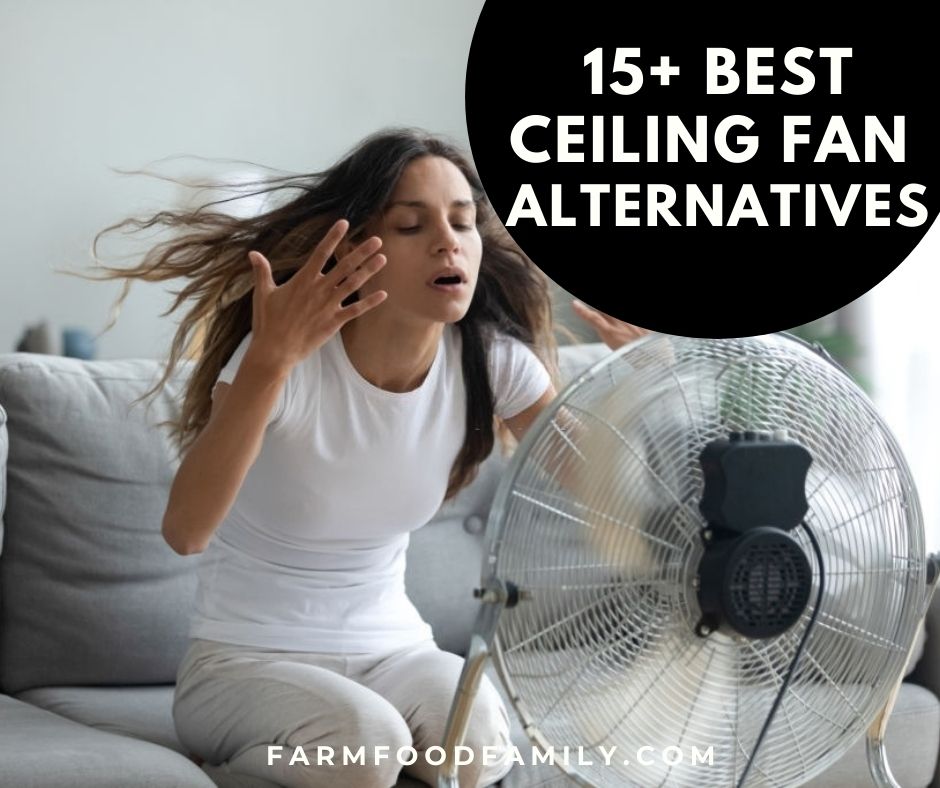 15 Best Ceiling Fan Alternatives For, Ceiling Fan Alternatives For Bunk Beds