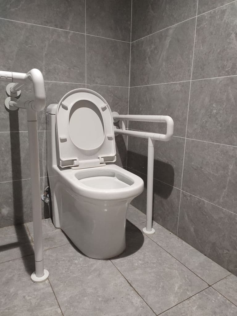 disabled toilet