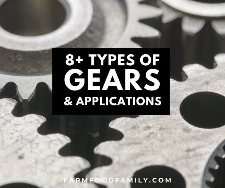 8 Different Types Of Gears and Their Applications
