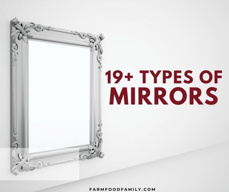 19+ Different Types Of Mirrors With Pictures (Buying Guide)