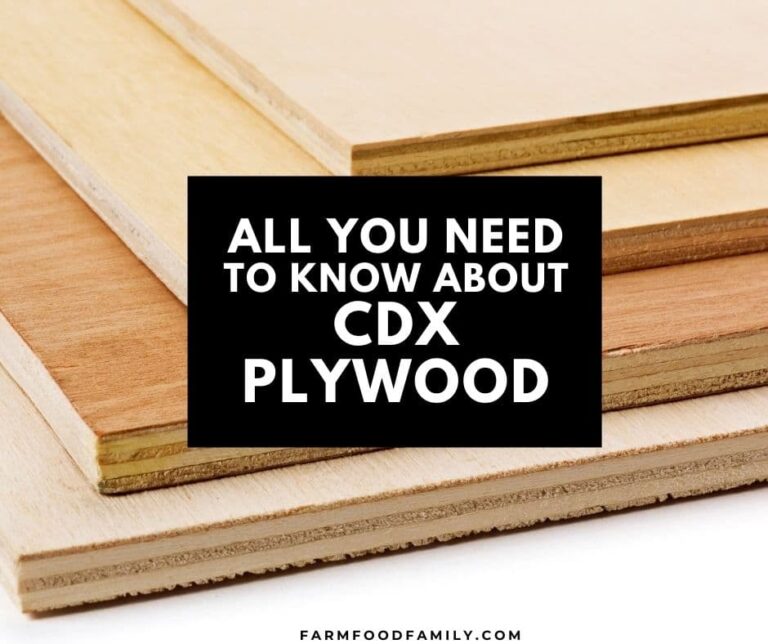 What Is CDX Plywood? | All You Need To Know About CDX