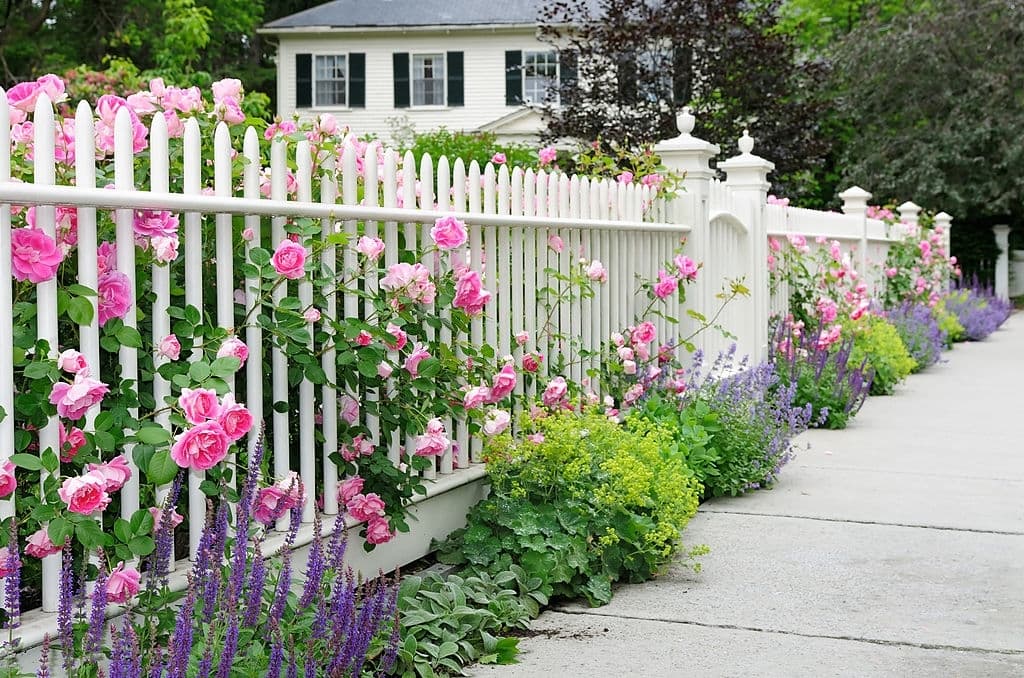 10 garden fence