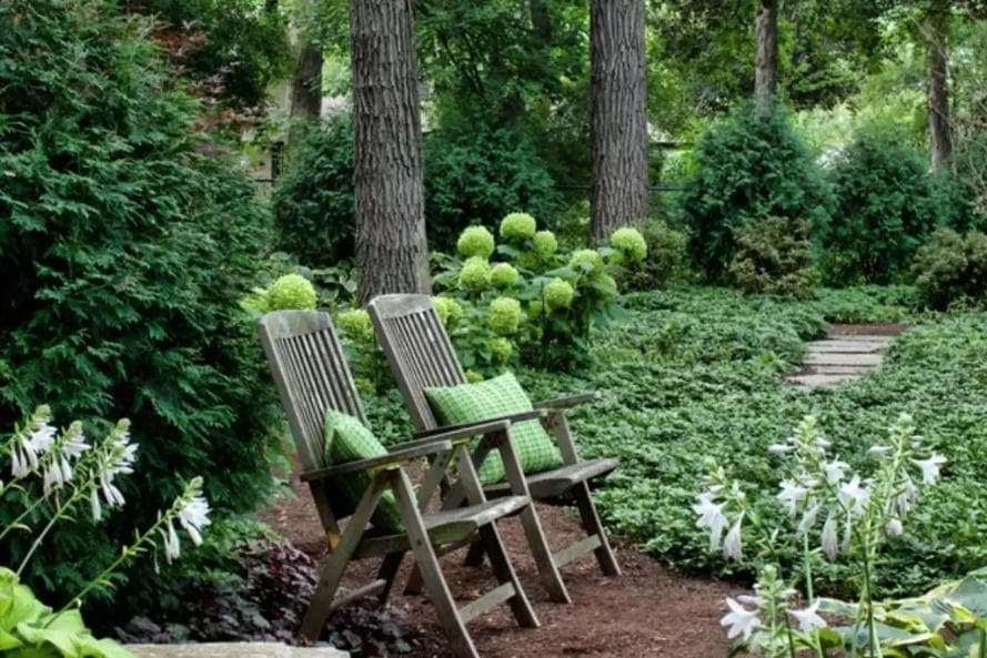 22 best backyard landscaping ideas