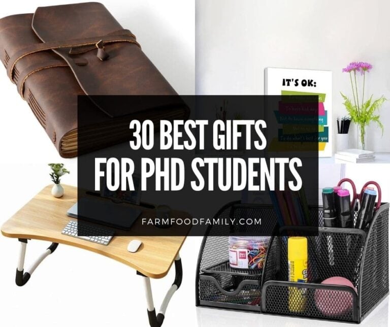 30 Best Gifts For PhD Students (Buying Guide)