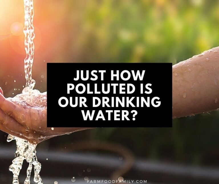 Just How Polluted Is Our Drinking Water?