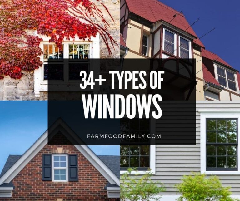 34+ Different Types Of Windows (Styles, Frames) With Pictures For Your House
