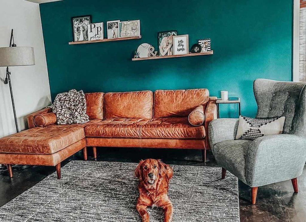 11 teal wall colors go with dark brown furniture 3