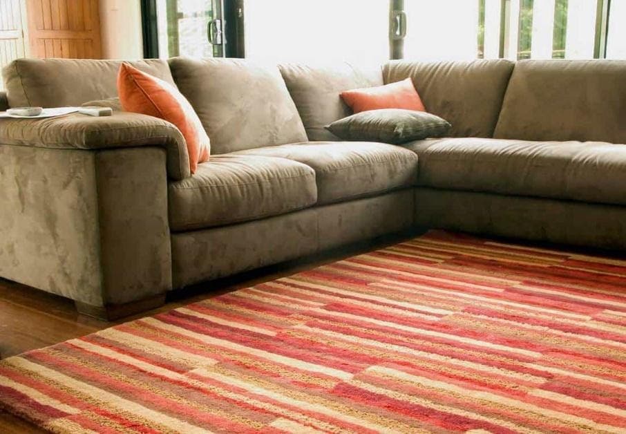 22 color rug goes with gray couch