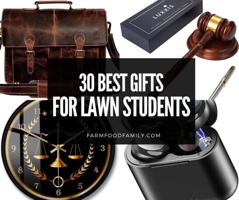 30 Best Gifts For Law Students (Buying Guide)