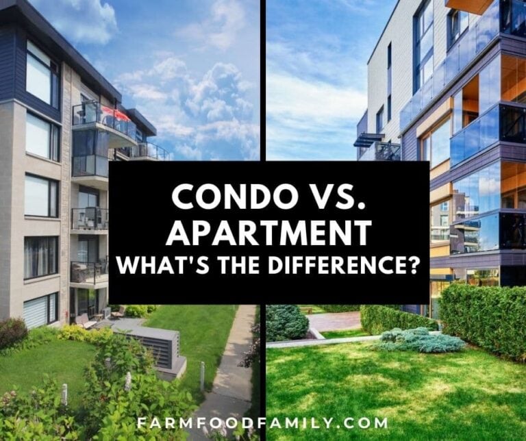 Condo vs. Apartment: What’s The Difference? (Pros and Cons)