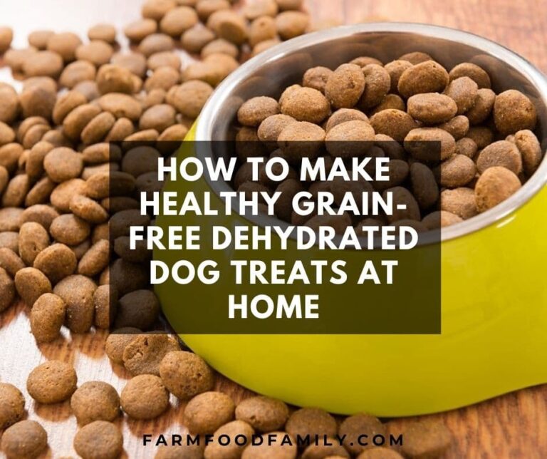 How To Make Healthy Grain-Free Dehydrated Dog Treats At Home (4 Recipes)