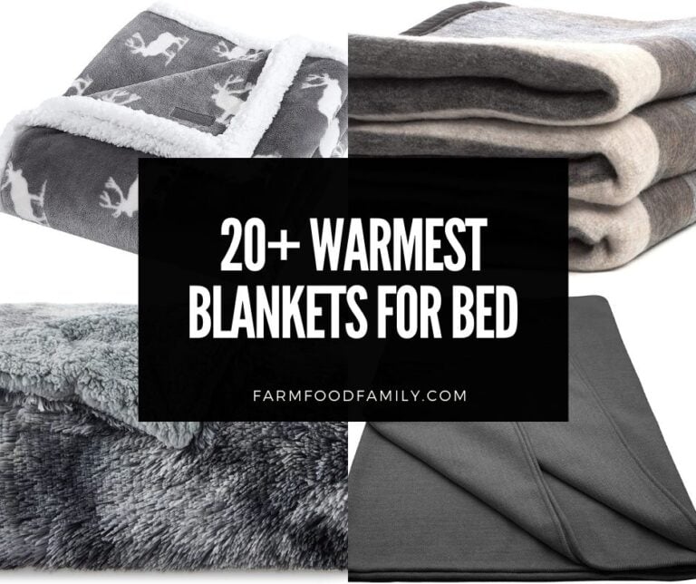 20 Warmest Blankets For Bed (Pros and Cons)