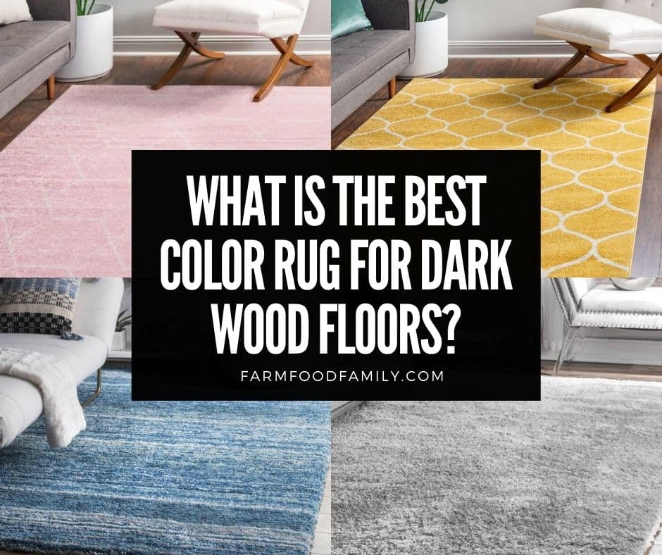Color Rug For Dark Wood Floors, What Rugs Are Good For Hardwood Floors