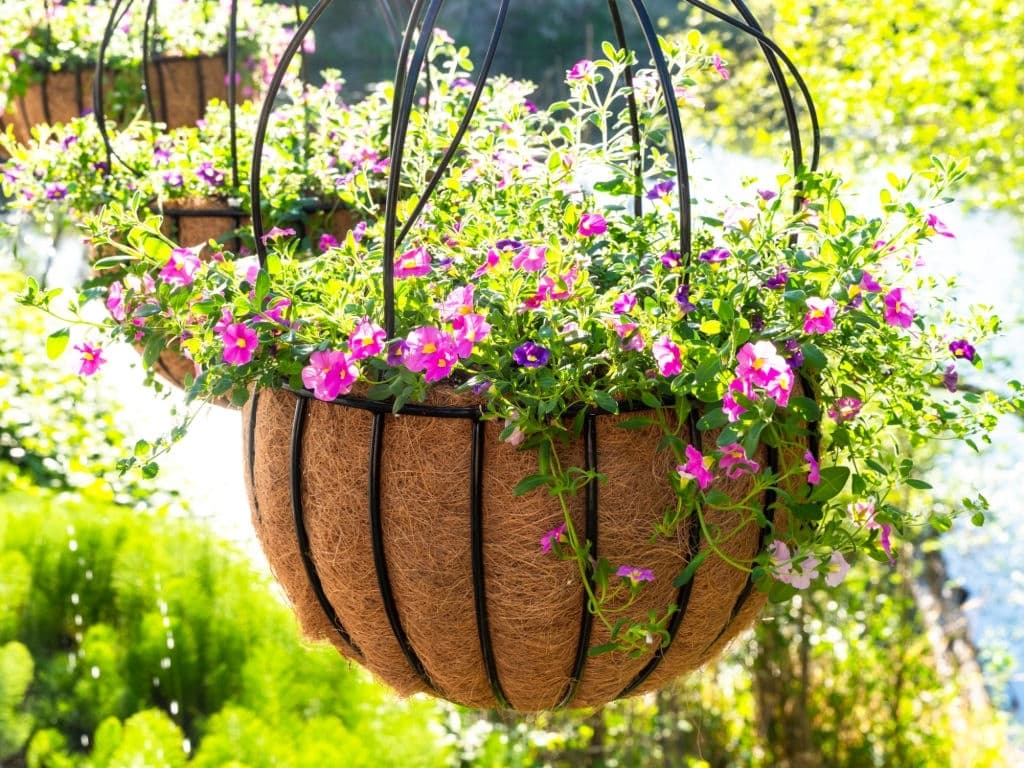 10 flower basket