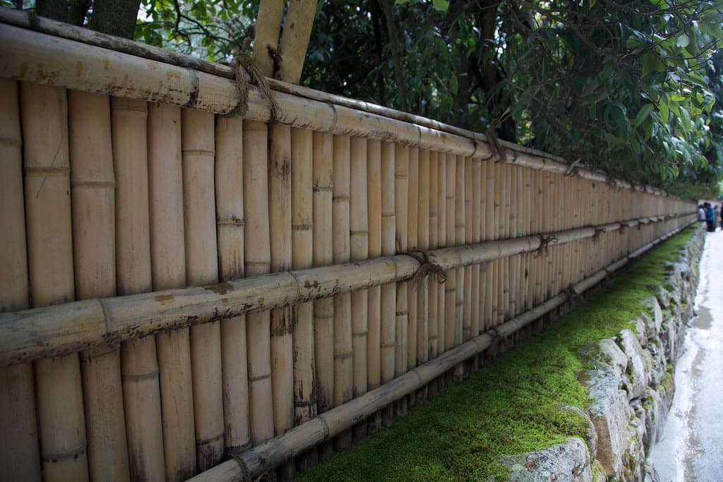 11 bamboo fence