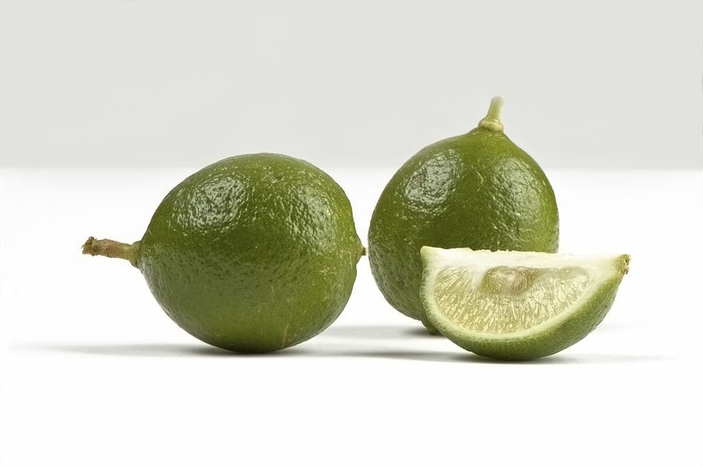 15 key lime foods that start with k
