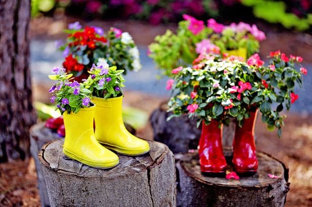 2 repurposed boot to plant flowers