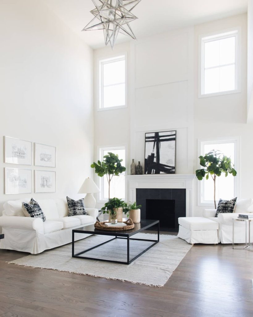 2 white and black balance living room ideas