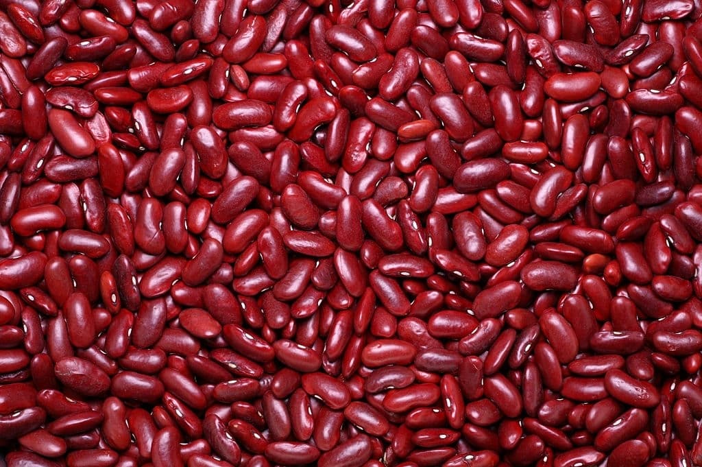 6 kidney beans foods that start with k