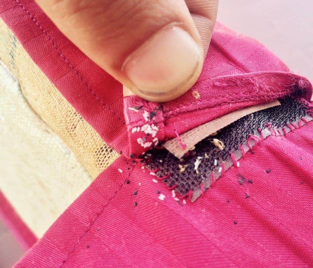 bed bug eggs on clothes
