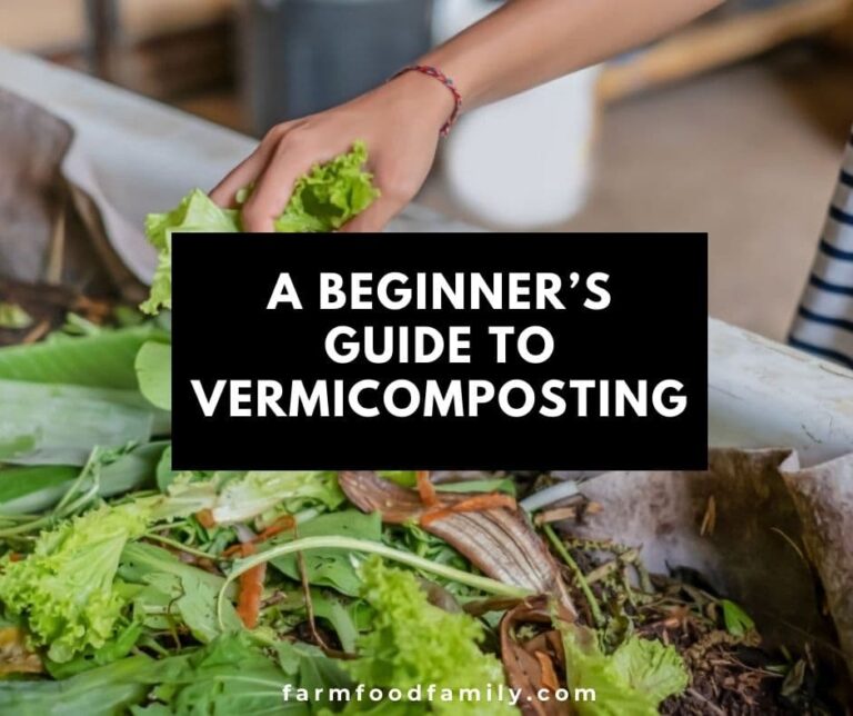 A Beginner’s Guide to Vermicomposting