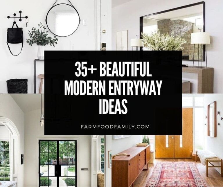 35+ Beautiful Modern Entryway Ideas and Designs (With Pictures)