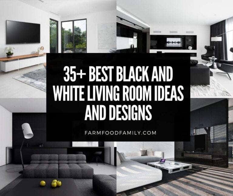 35+ Best Black And White Living Room Ideas and Designs (Photos)