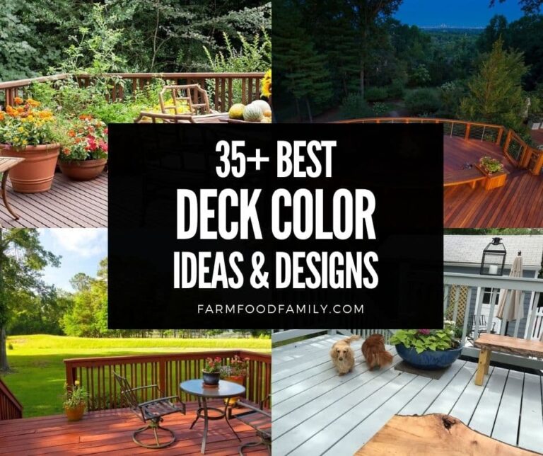 65+ Best Deck Color Ideas and Designs (With Pictures)
