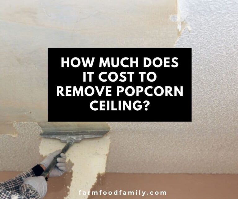 How Much Does It Cost to Remove Popcorn Ceiling?
