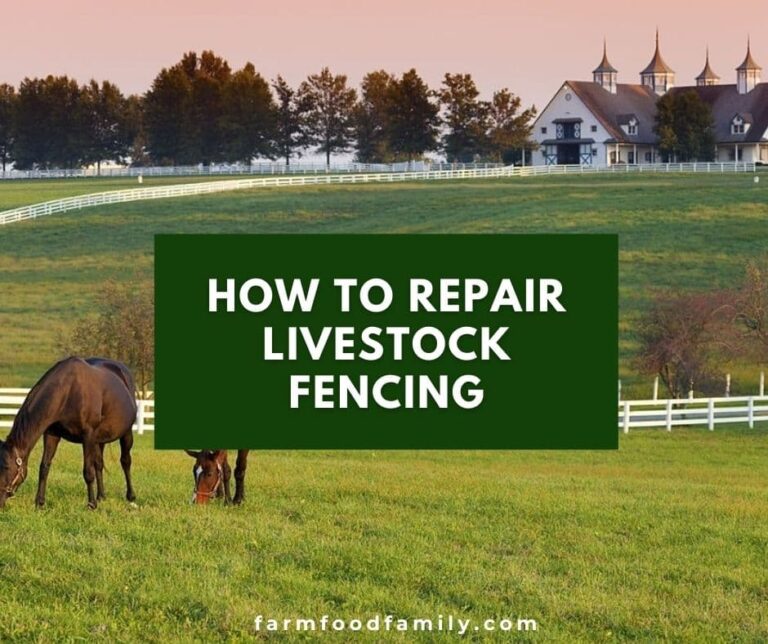 How To Repair Livestock Fencing (5 Easy Steps)