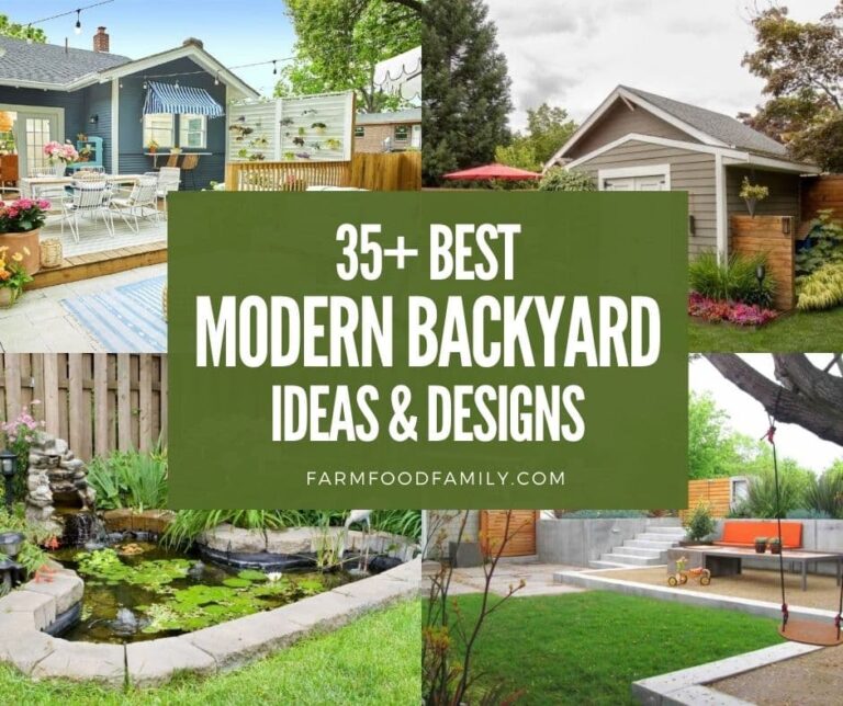 35+ Best Modern Backyard Ideas and Designs On A Budget (Pictures)