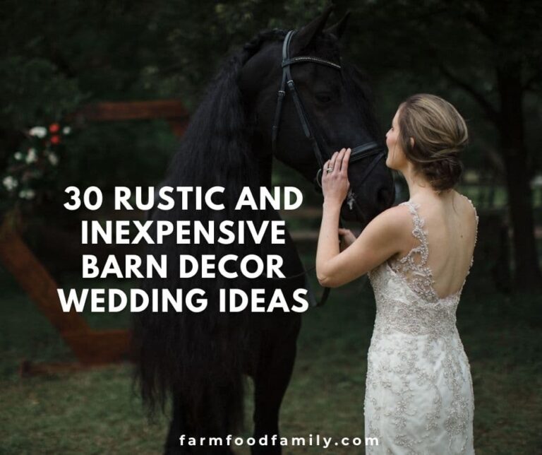 30 Rustic and Inexpensive Barn Decor Wedding Ideas