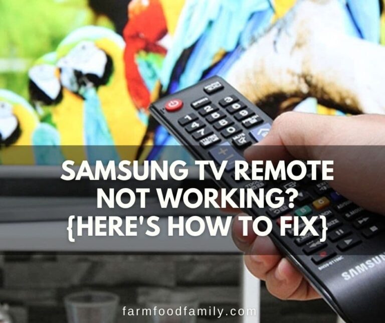 Samsung TV Remote Not Working? {Here’s How To Fix}