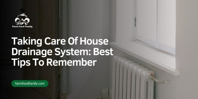 Taking Care Of House Drainage System: Best Tips To Remember