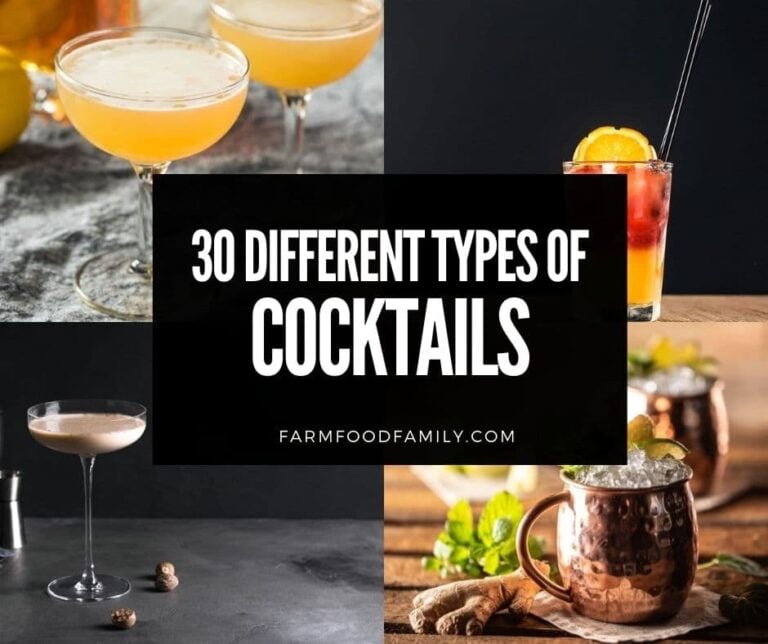30 Different Types of Cocktails In The World (With Pictures)