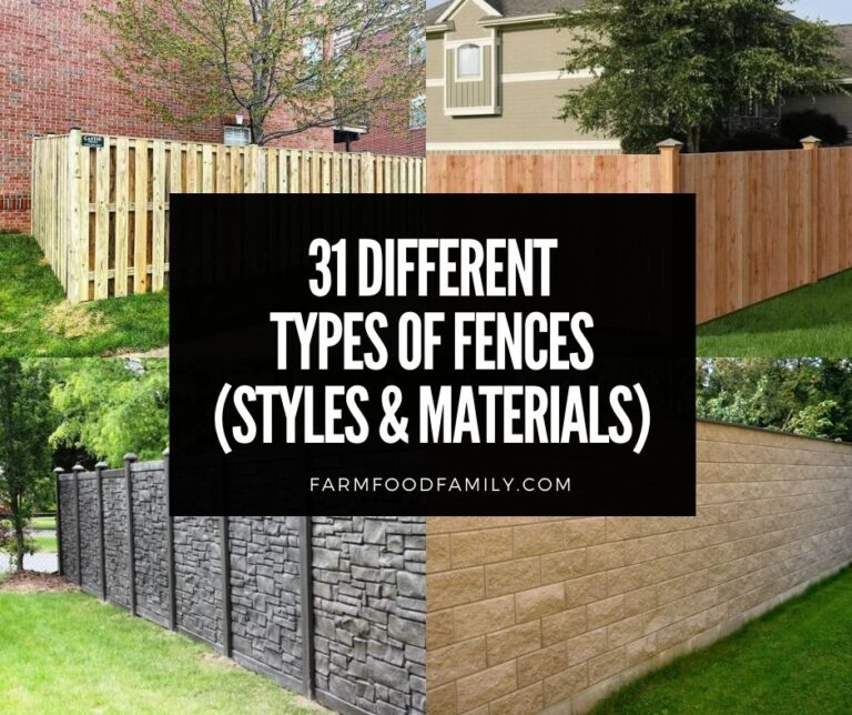 31 Different Types Of Fences (Styles, Materials) For Your Yard (Photos)