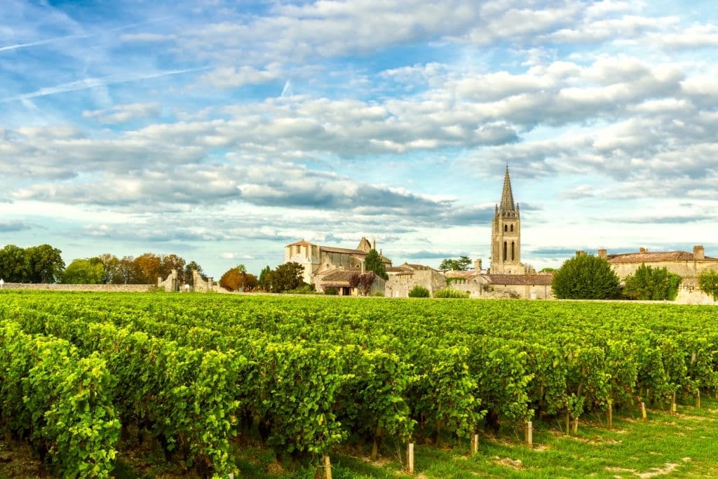 vineyards of saint emilion