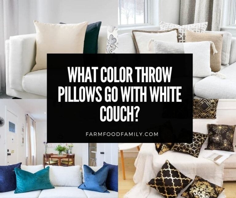 What Color Throw Pillows Go With White Couch? (20 Ideas)