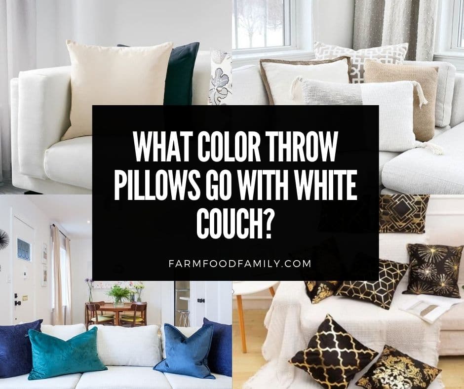 Color Throw Pillows Go With White Couch, Ideas For Making Sofa Pillows