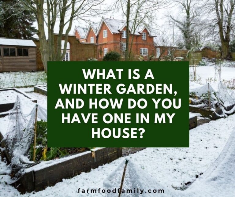 What Is A Winter Garden, And How Do You Have One In My House?