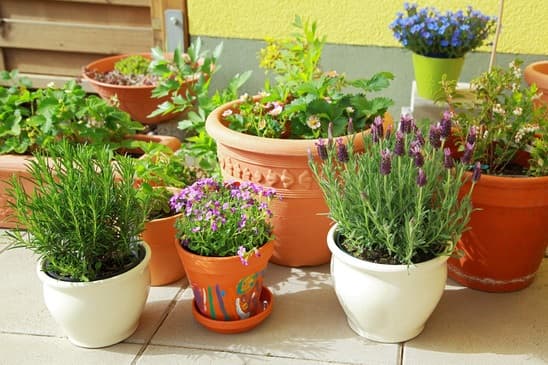 17 herb garden ideas designs