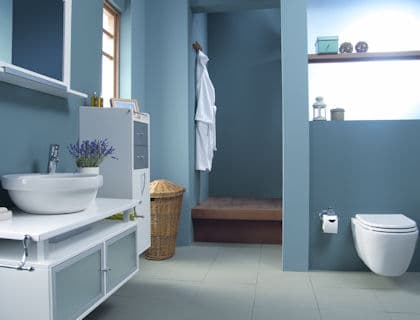 2 blue bathroom ideas farmfoodfamily