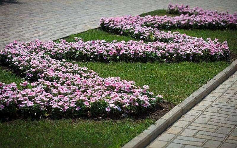25 flower bed ideas designs