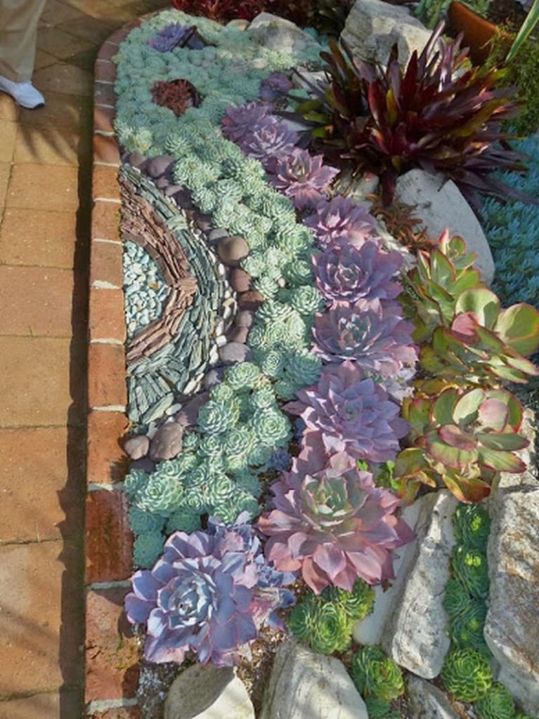 26 succulent garden ideas designs
