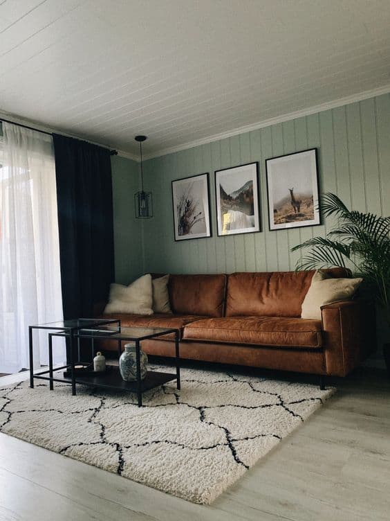30 brown living room ideas