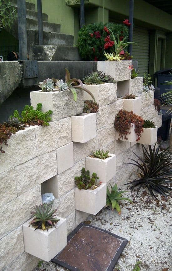 31 succulent garden ideas designs