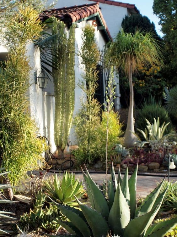 34 succulent garden ideas designs