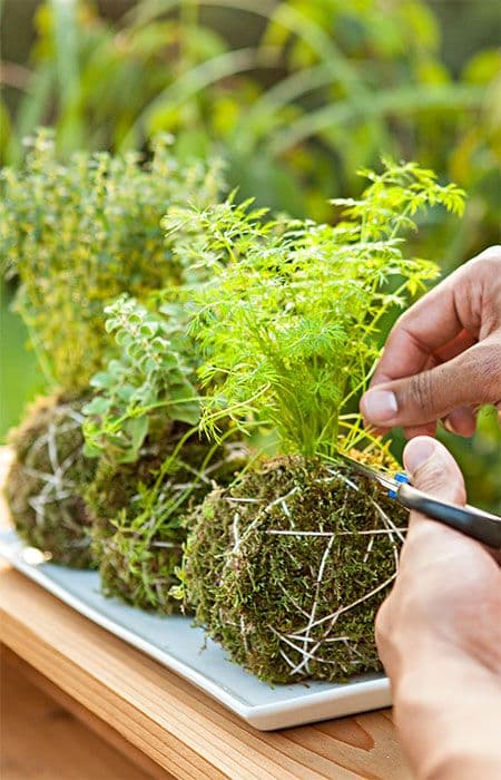 4 herb garden ideas designs